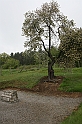 a 036